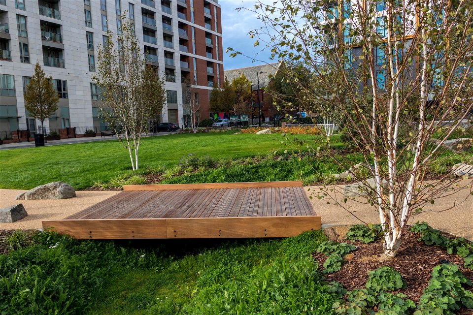 181104 Woodberry Down + Spring Park SuDS (9 of 19)