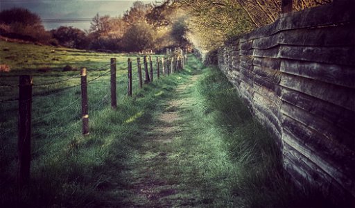 Walking to the hide