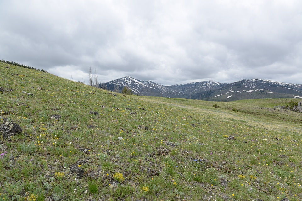 Mount Washburn Trail, Yellowstone National Park
