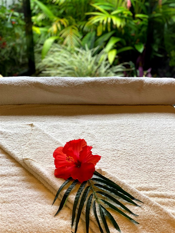 Spa treatment room portrait photo