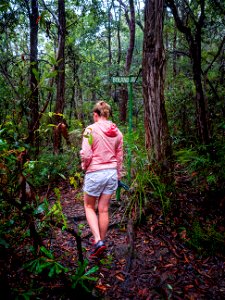 Birdwood Gully (Springwood) - The Blue Mountains Australia