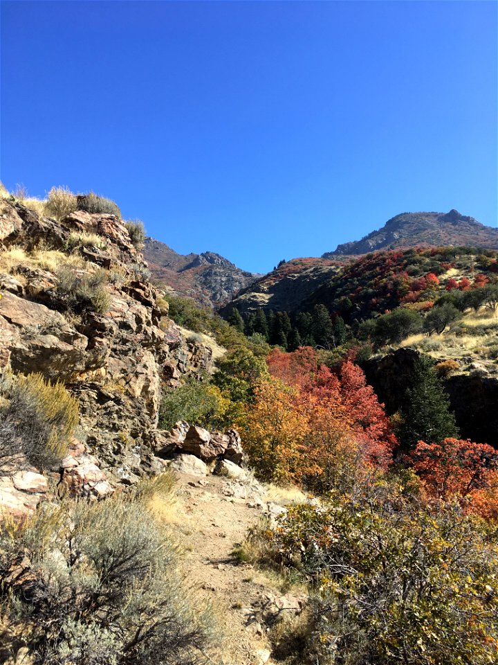 Adams Canyon, Layton, Utah