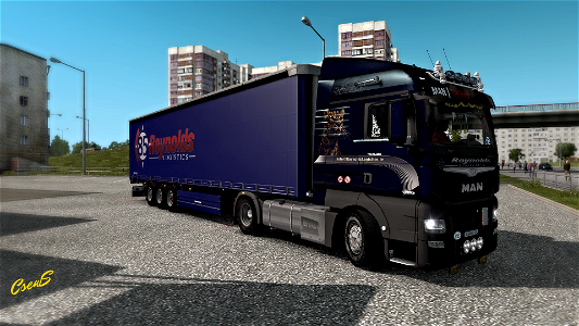Man Euro6 Reynolds Skin