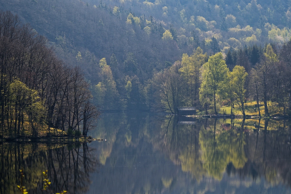 Mountain forest lake reflection landscape