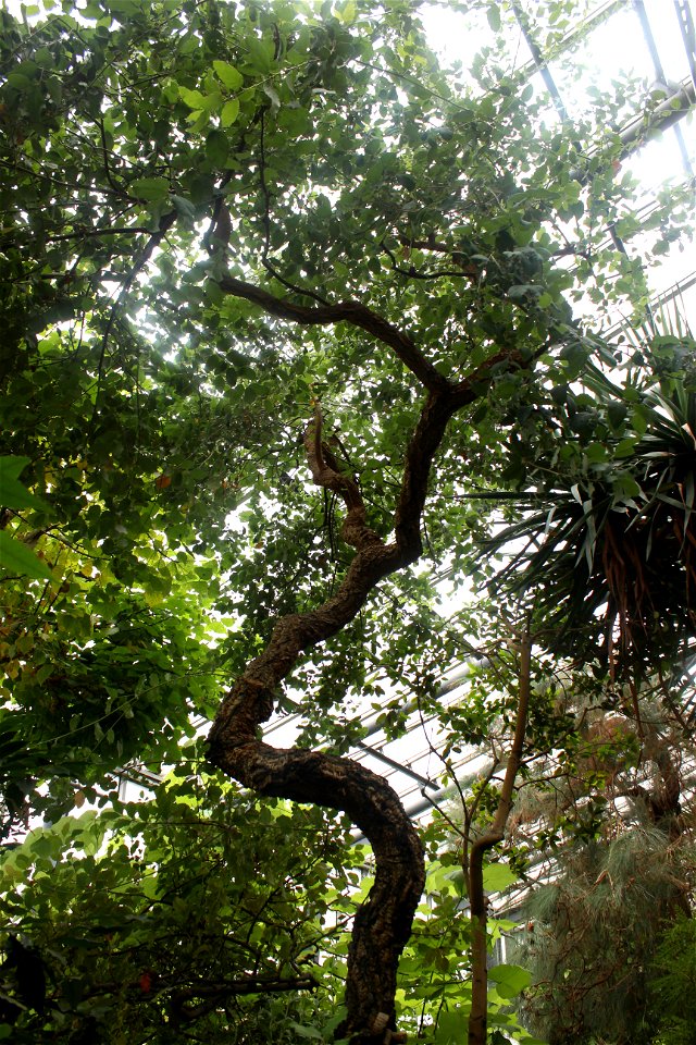 In Botanic Garden