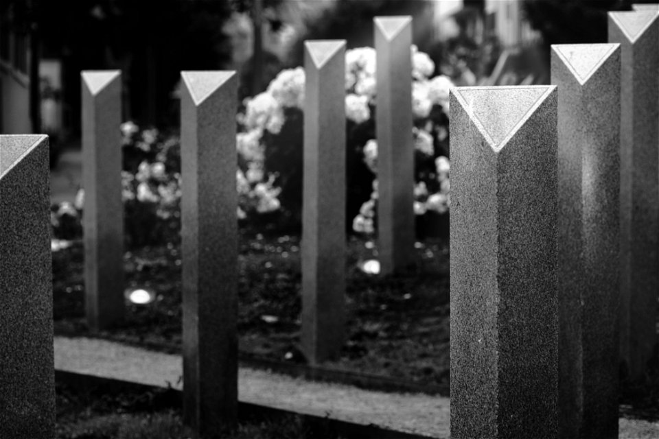 Pink Triangle Memorial, The Castro, San Francisco [1547]