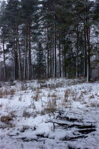 IMG_7284