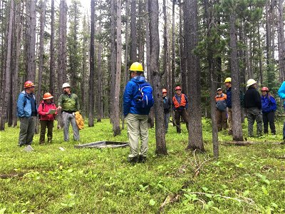 FuelTreatmentFieldTrip-MT-002