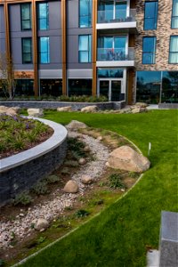 181104 Woodberry Down + Spring Park SuDS (17 of 19)