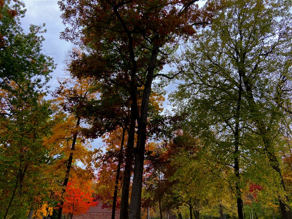 Mohawk Park, Brantford, Canada