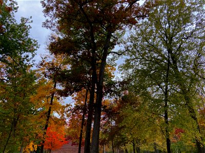 Mohawk Park, Brantford, Canada