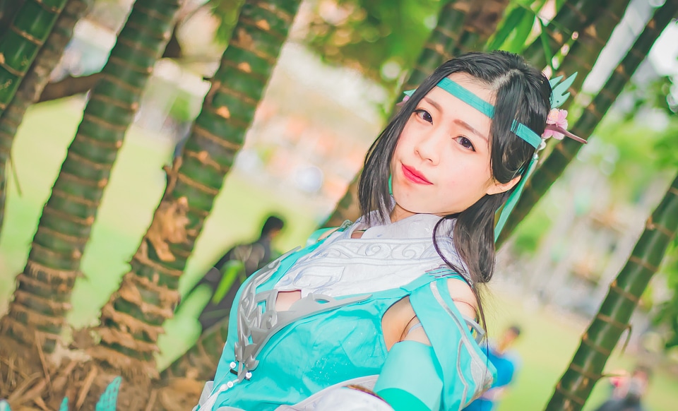 Japan anime cosplay