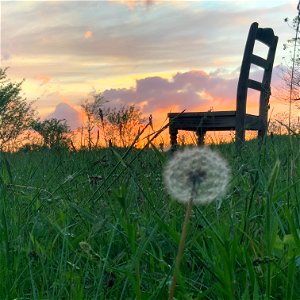 Empty chair in a prairie photo