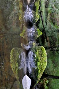 _DSC8329E