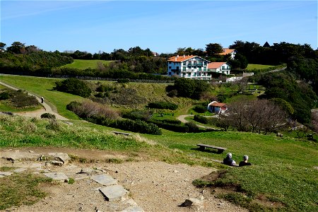 DSC00290