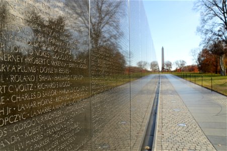 Vietnam Memorial photo