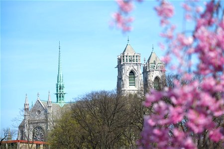 Cathedral Basilica of the Sacred Heart