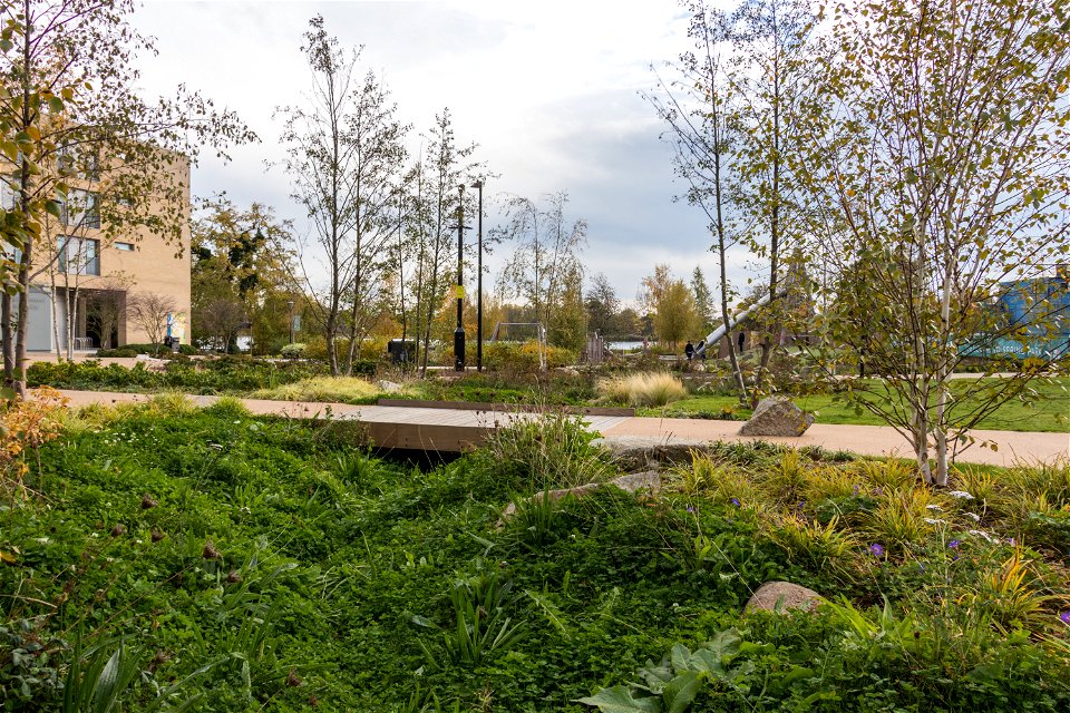 181104 Woodberry Down + Spring Park SuDS (4 of 19)