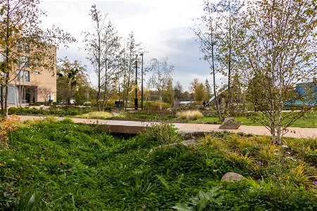 181104 Woodberry Down + Spring Park SuDS (4 of 19)