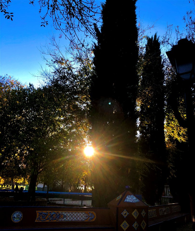 Día 25:Rayos de sol/Linea