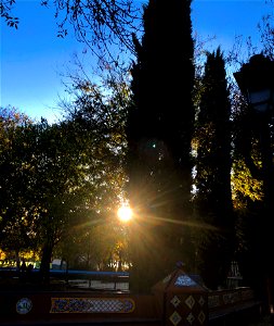 Día 25:Rayos de sol/Linea
