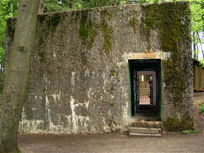 Ardennen photo