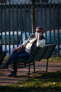 Guy on a bench photo