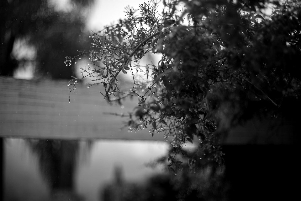 Tarde de chuva 6DII-4
