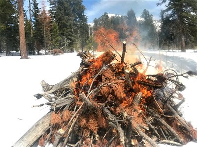 Slash Pile Burning in Snow (1)