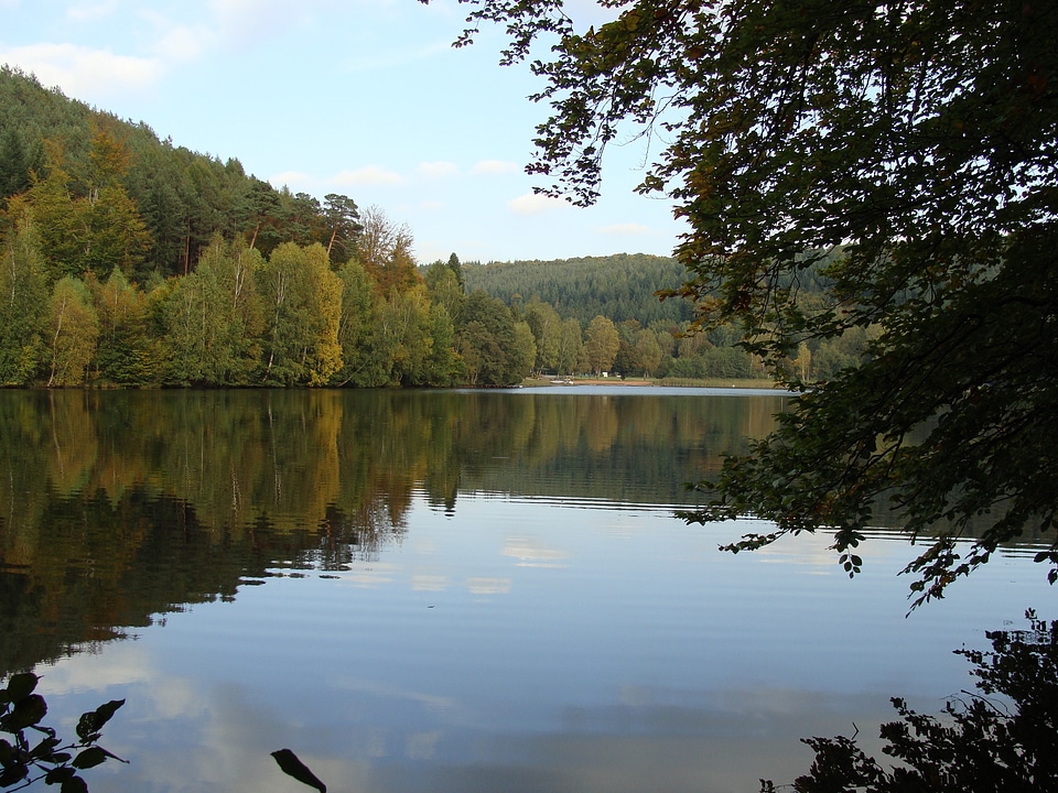 Beautiful forest lake in the morning photo