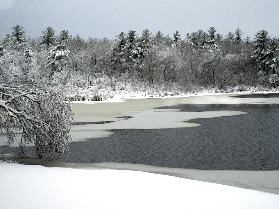 Signs Of Winter Melt