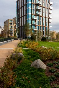 181104 Woodberry Down + Spring Park SuDS (12 of 19)