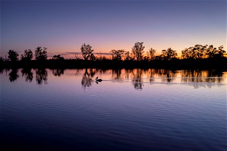 Dawn over the Murray river photo