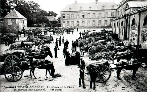 SAINT-POL-DE-LEON La mairie et la place du marché CIRCA 1900 photo