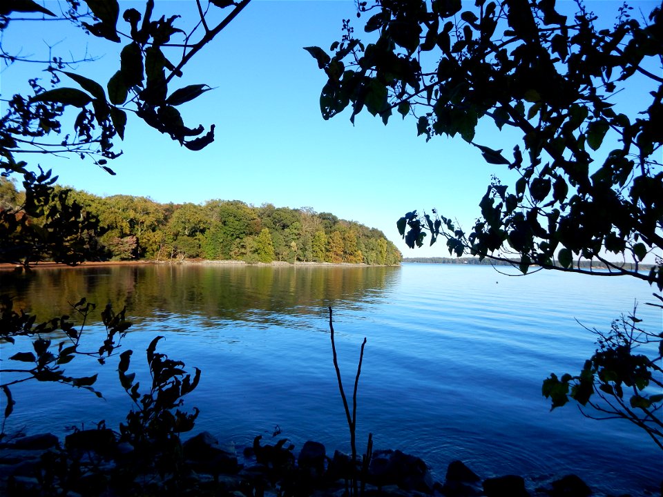 Rogues Harbor