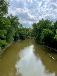 St Joseph River Edgerton off Route 6 South side photo