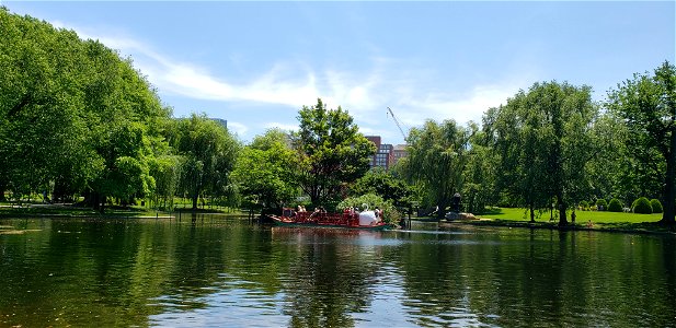 Swan Boat at Boston Public Garden