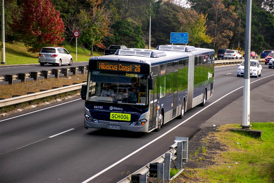 Bayes Coachlines 159