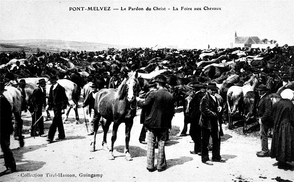 PONT-MELVEZ Le pardon du Christ  La foire aux chevaux