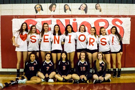 PaintBranch@QO-10