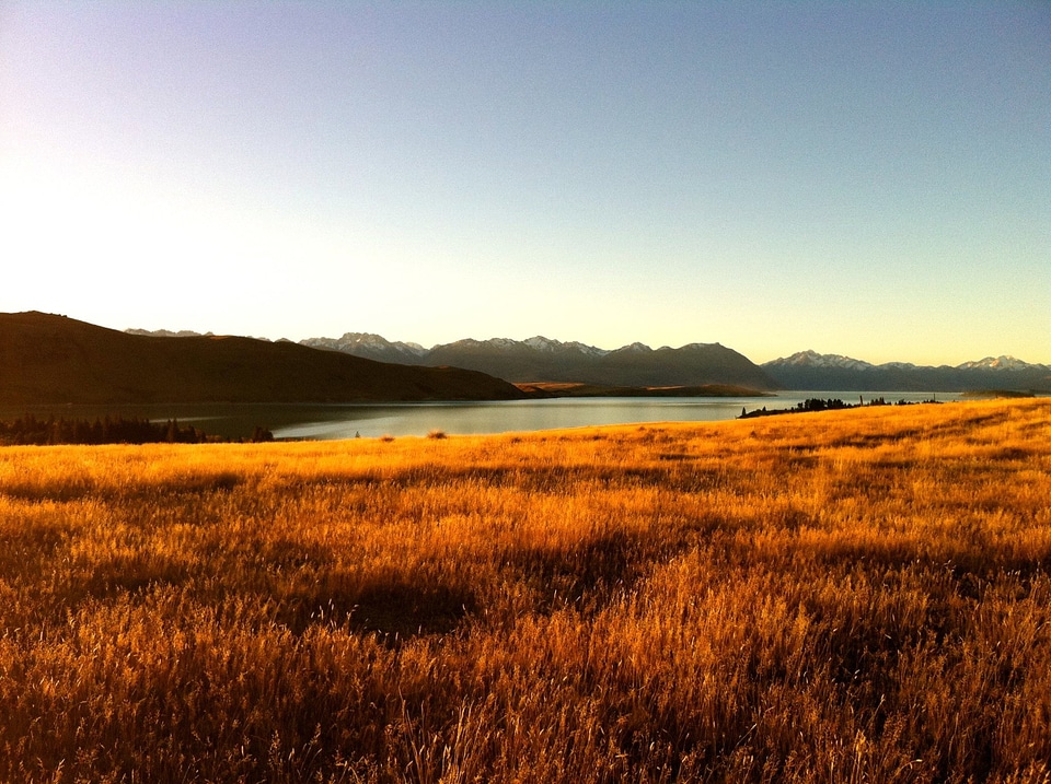 New zealand outdoor sunset