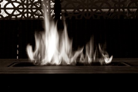 IMG_3600