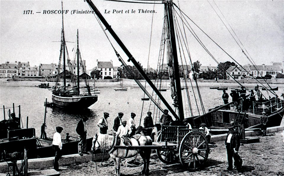 ROSCOFF le port et le Théven