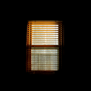 Window - starter image