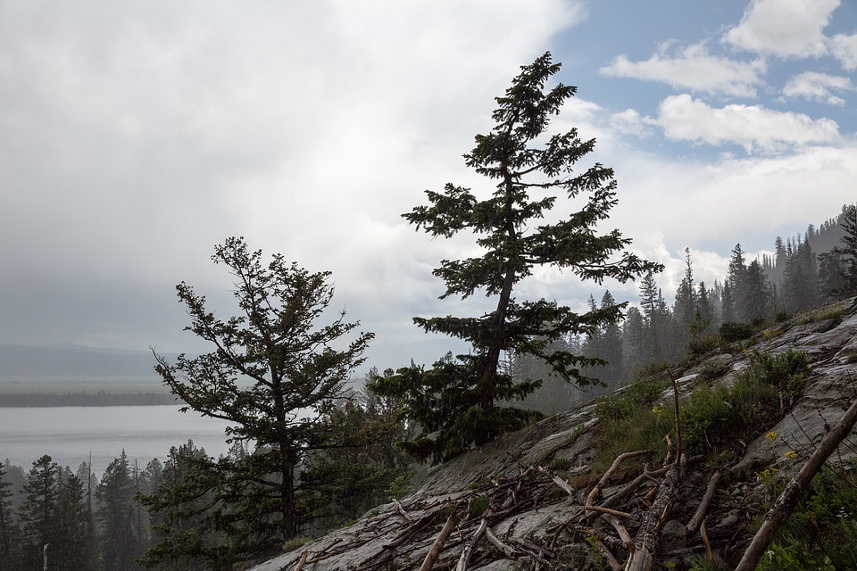 Cascade Canyon Trail in Grand Teton National Park