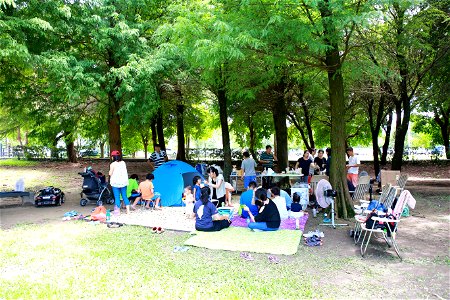 20170903古坑綠色隧道野餐