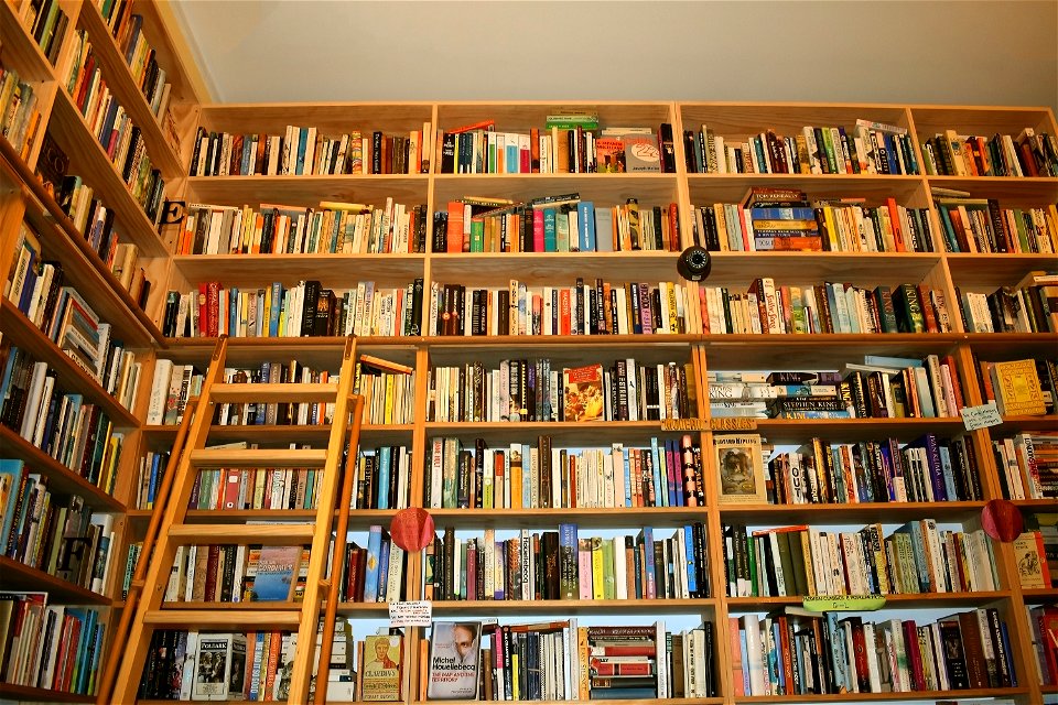 Book Store Shelves photo