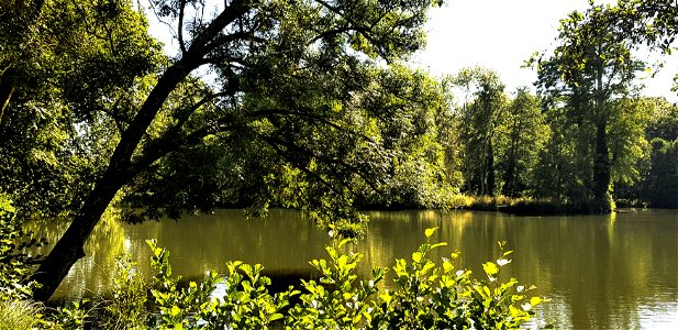 Vert d'eau