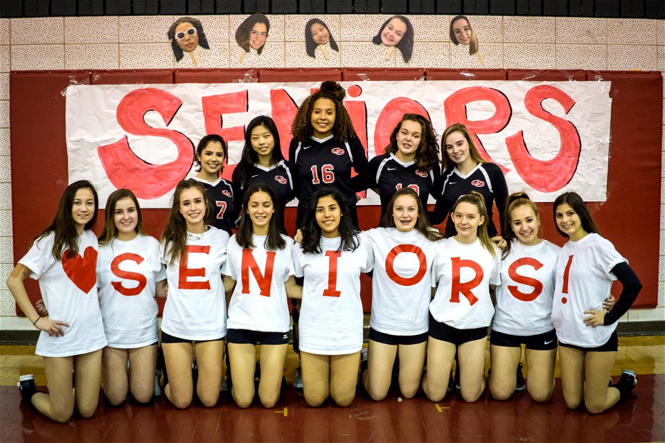 PaintBranch@QO-11