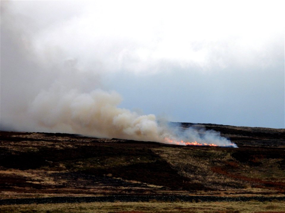 Bingley Moor (09-11-2021)